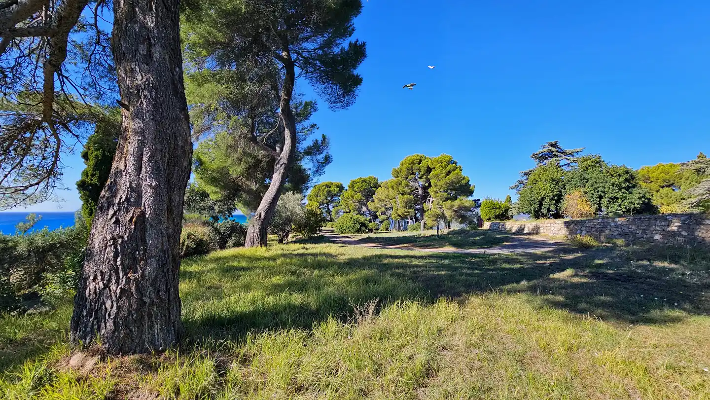 Azienda Agricola Sassolive Park Alpicella